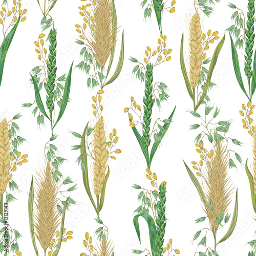 Seamless pattern with cereals. Barley, wheat, rye, rice and oat. Rustic floral background.  Vintage vector botanical  illustration in watercolor style.