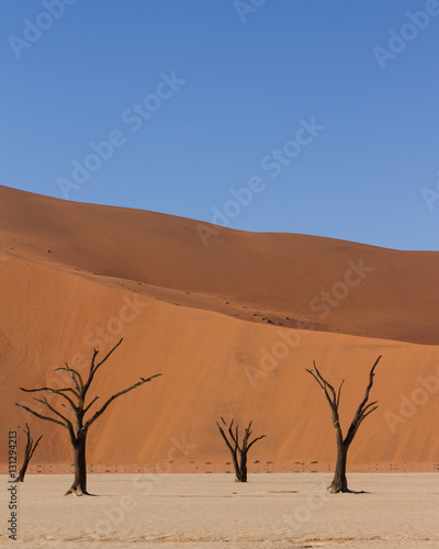 Dessert Tree