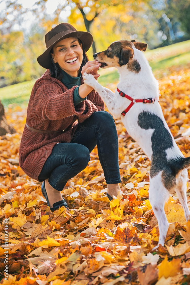 Fototapeta premium Young woman playing with dog outdoors in autumn