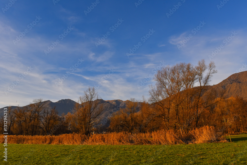 Panoramica autunnale in palude