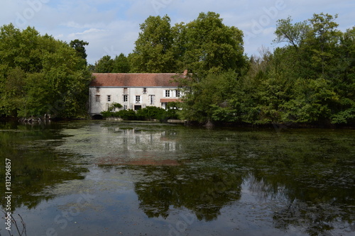 Fotografia Moulin Saint-Julien, bords du Loiret
