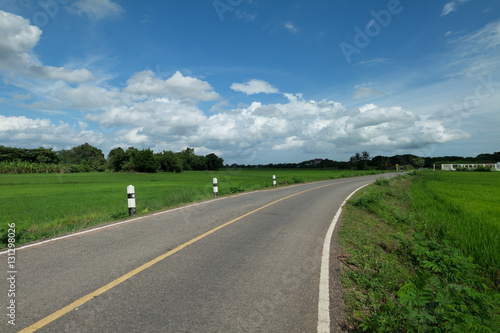 The road pass trough green rice field