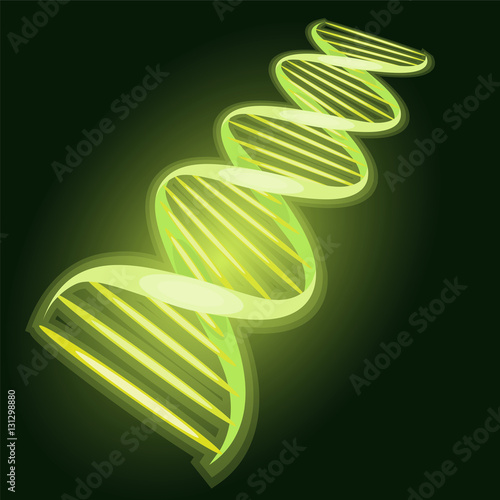 The DNA molecule on a dark background. biological object. Vector