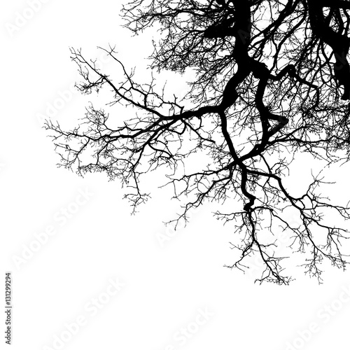Leafless tree, vector illustration, Ai10