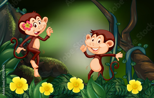 Two monkeys in rain forest