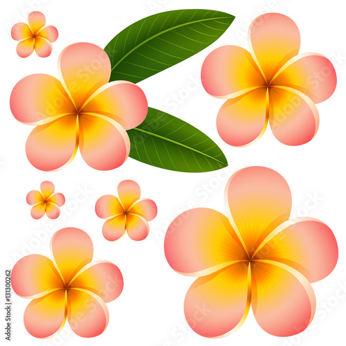 Seamless background design with colorful flowers