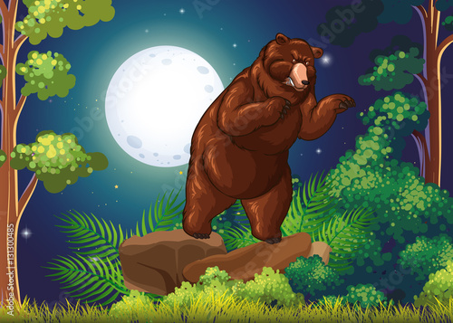 Wild bear in the jungle at night