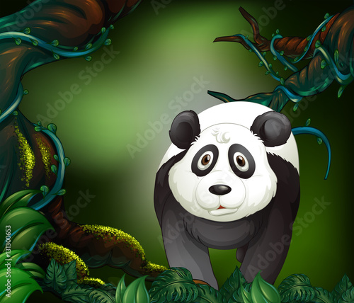 Panda in a rain forest