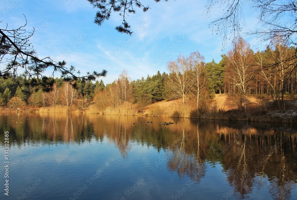 Obraz premium autumn