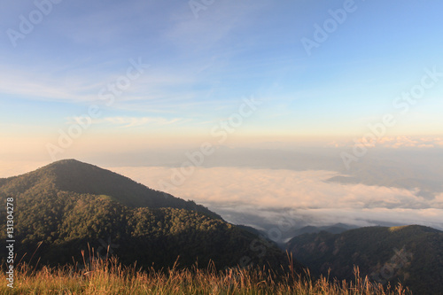 Landscape with the green grass on mountain in sunrise, Doimonjong Thailand