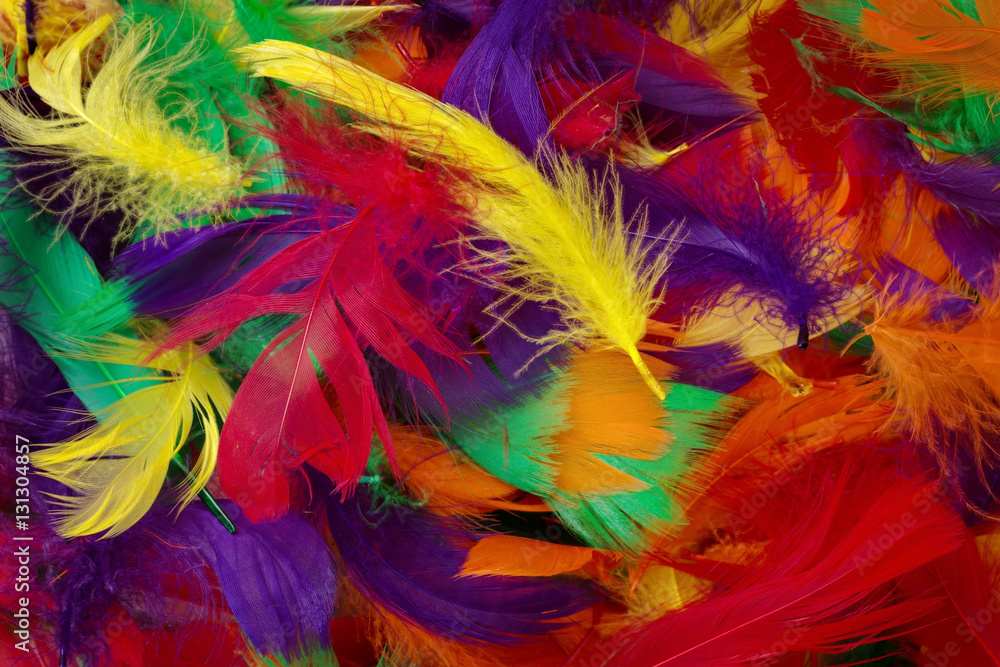 coloured feathers backgound coloured feathers backgound