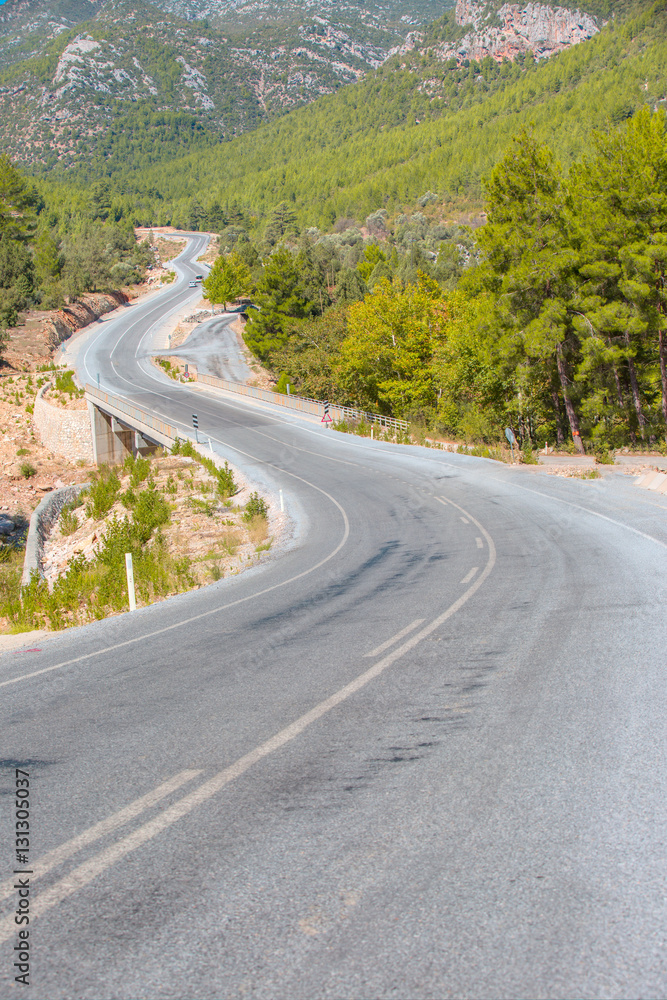 Winding asphalt road with trees on both sides