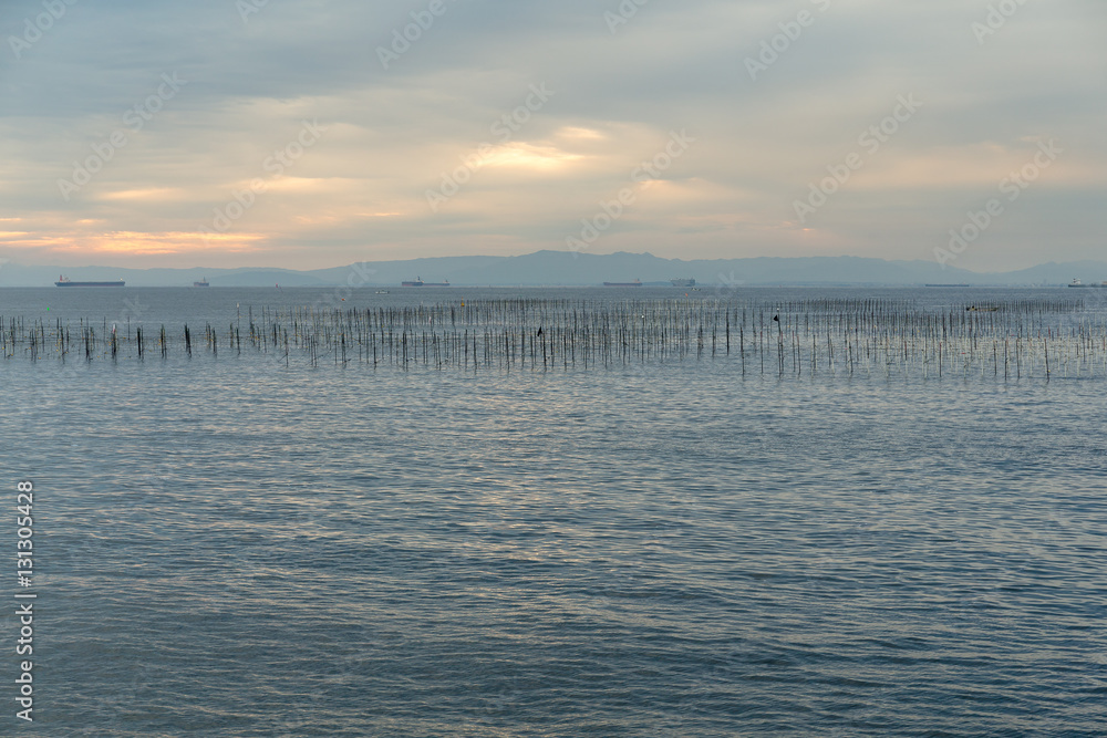 Obraz premium Fish farm