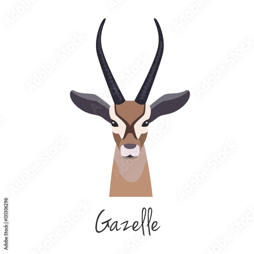Vector gazelle head isolated. Flat style, cartoon object photo
