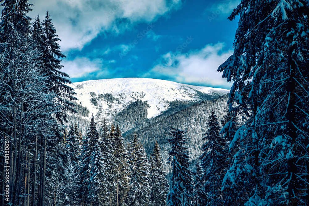 Fototapeta premium Carpathian mountains nature vacation mountain