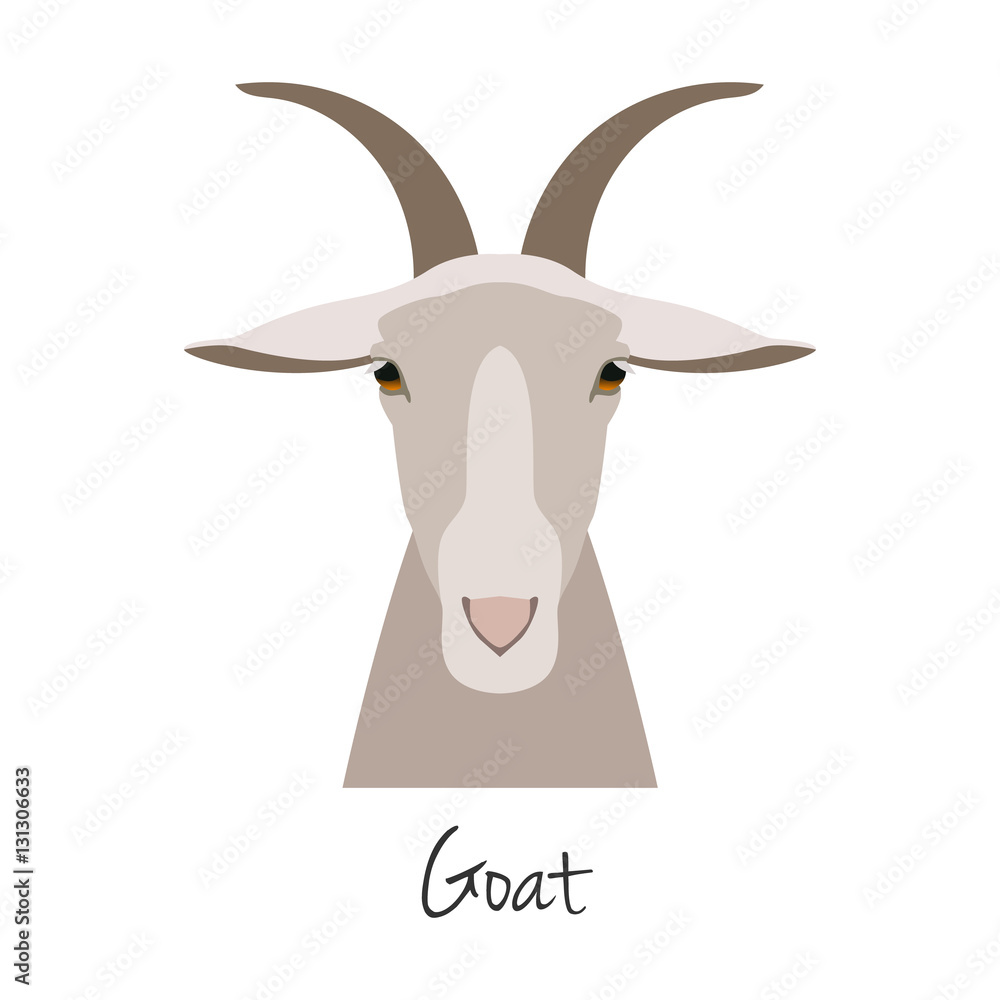 Vector goat head isolated. Flat, cartoon style object Vector goat head isolated. Flat, cartoon style object