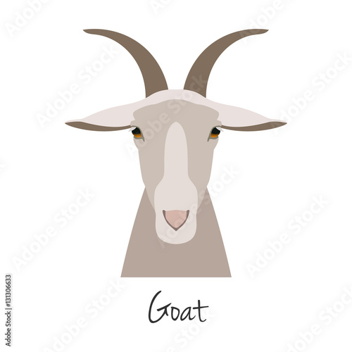 Vector goat head isolated. Flat, cartoon style object