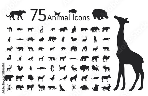 Fototapeta Naklejka Na Ścianę i Meble -  Set of 75 Animal icons