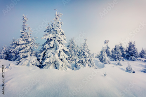 Marvelous winter view in Carpathian mountains with snow covered © Andrew Mayovskyy
