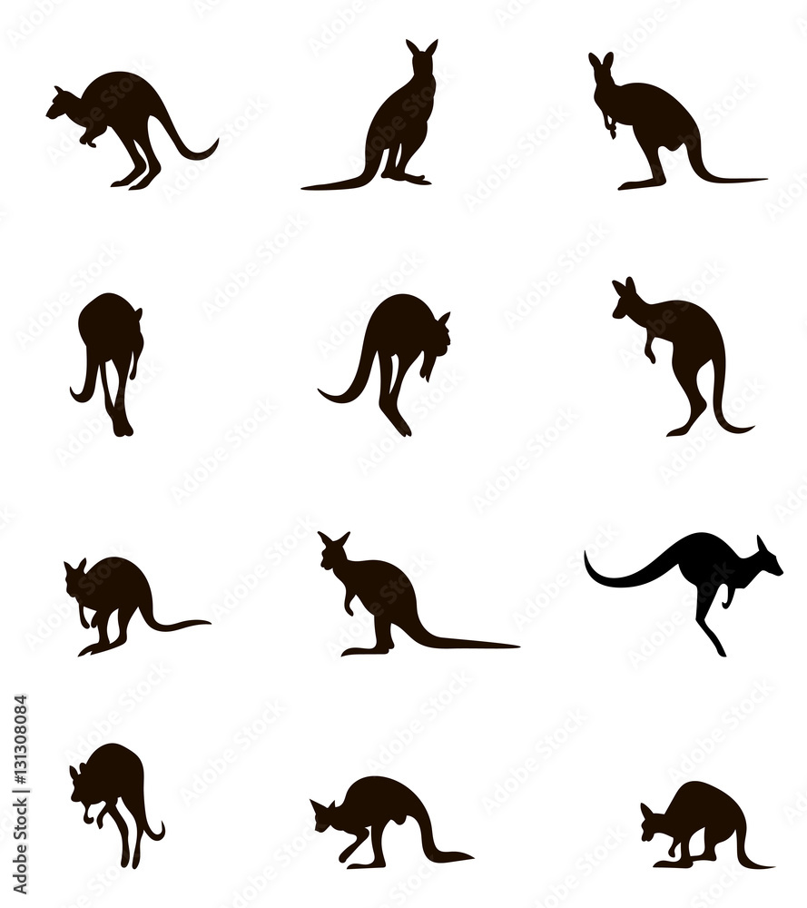 Silhouettes Australian kangaroo. Silhouettes Australian kangaroo.