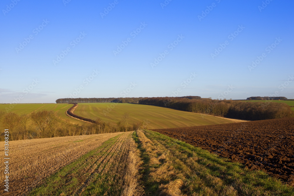 winter farming landscape