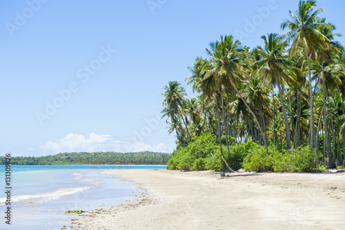 Palm trees stand tall over a wide remote tropical Brazilian island beach along the Coconut Coast in Bahia, Nordeste Brazil