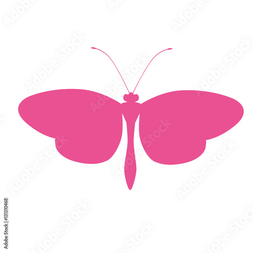 butterfly pink silhouette icon image vector illustration design  © djvstock