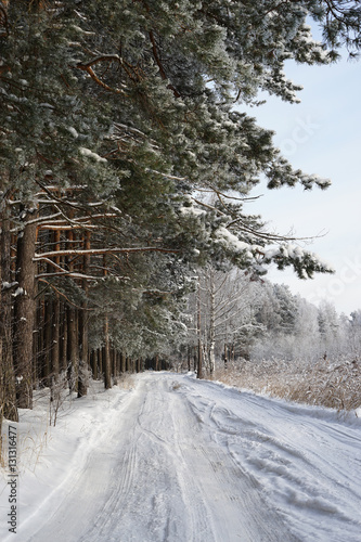 Wallpaper Mural road Torontodigital.ca