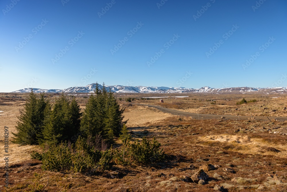Landscape on Iceland