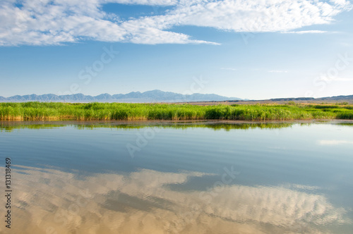 steppe summer. Turgai save. Lake in the desert