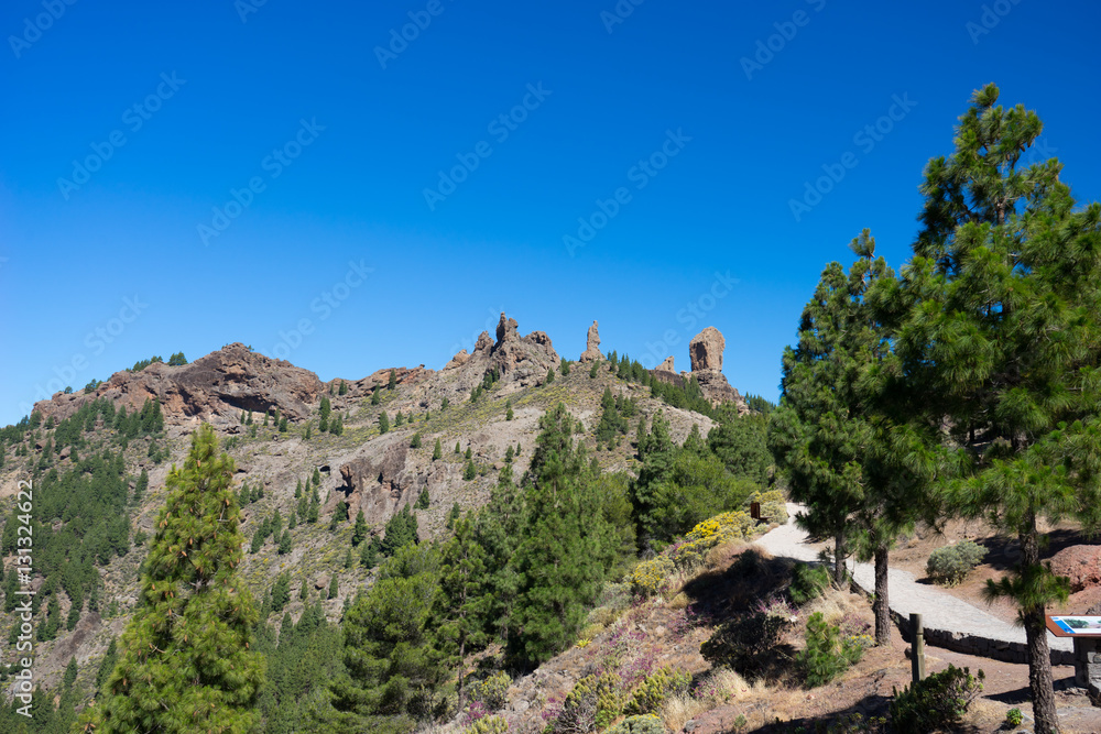 Fototapeta premium Canyons Of Gran Canaria
