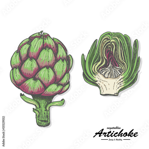 Colored artichoke in sketch style