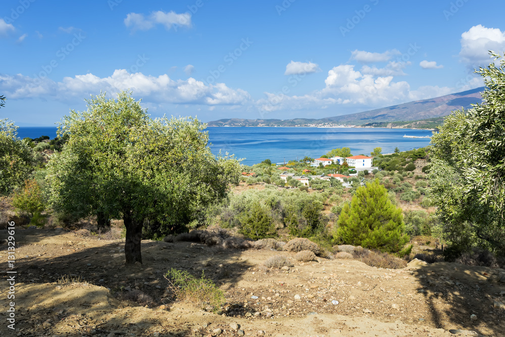 Amazing Landscape of the sea on Thassos island, East Macedonia and Thrace, Greece Amazing Landscape of the sea on Thassos island, East Macedonia and Thrace, Greece