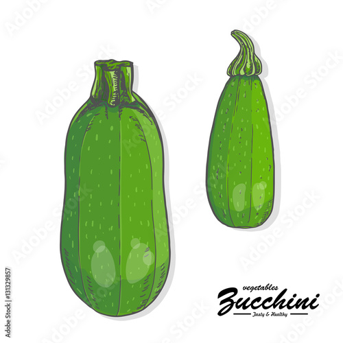 Colored zucchini in sketch style