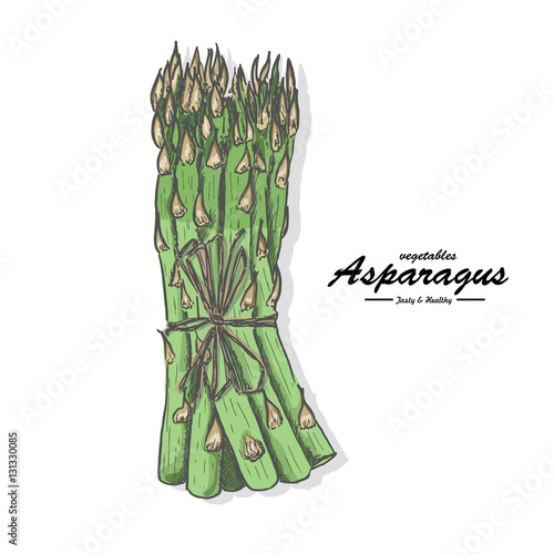 Colored asparagus in sketch style