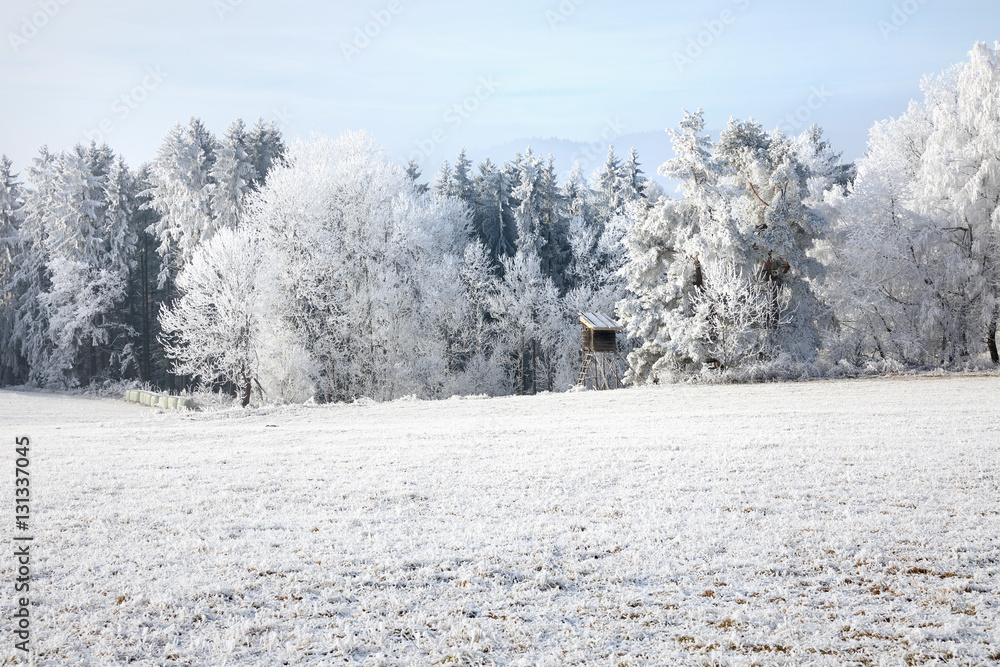 Winter landscape and snow wrapped trees in Sumava, Czech republic, Winter landscape and snow wrapped trees in Sumava, Czech republic,