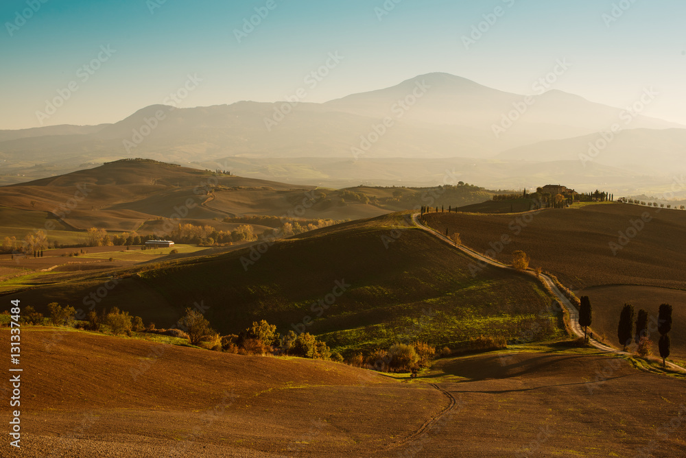 Obraz premium Wavy fields in Tuscany at sunset, Italy. Natural outdoor seasonal autumn background.