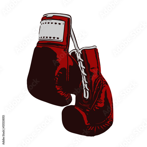 two boxing gloves
