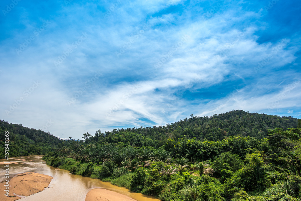 River through the rain forest of Malaysia River through the rain forest of Malaysia