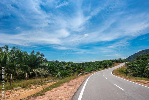 Curve of a road through palm oil plantation in Malaysia