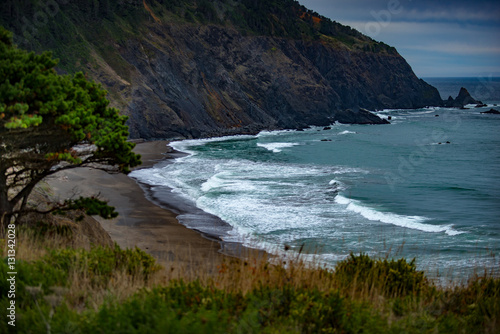 Oregon Coast Landscape