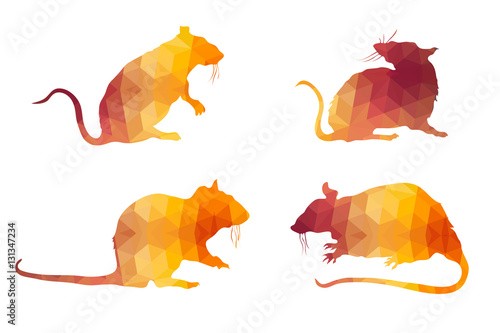 Triangle Polygonal Silhouettes of Mice