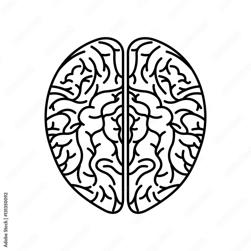human brain organ icon over white background. vector illustration human brain organ icon over white background. vector illustration
