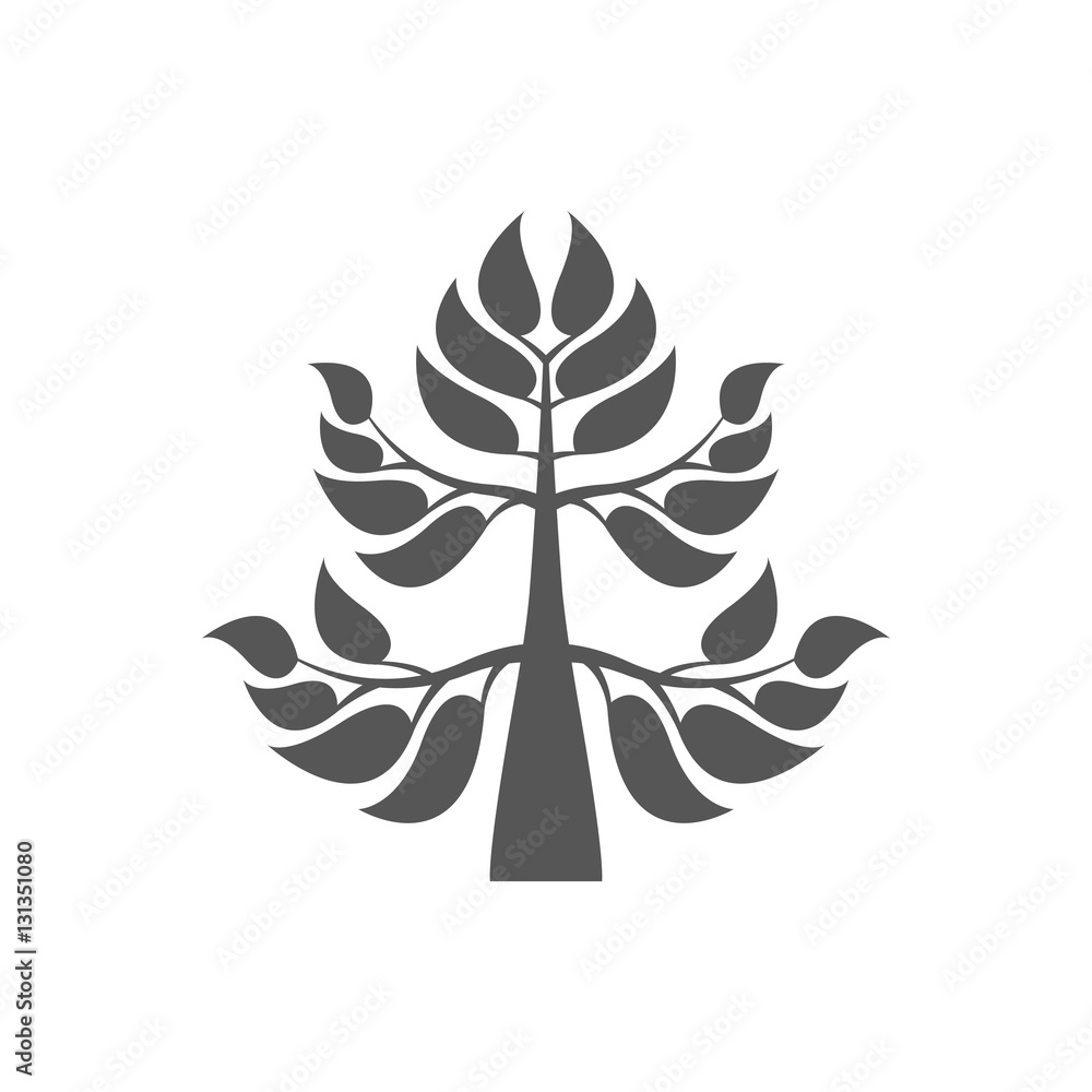 Abstract foliate element. Deciduous ornament. Pattern. Abstract foliate element. Deciduous ornament. Pattern.