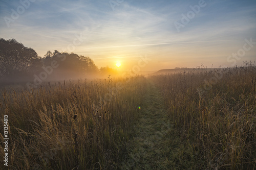 misty and sunny morning in the countryside © Mike Mareen