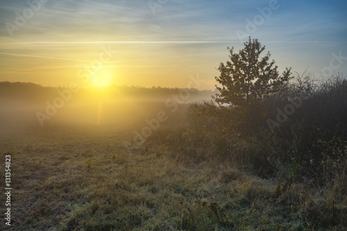 misty and sunny morning in the countryside © Mike Mareen