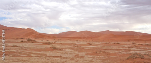 desert landscape