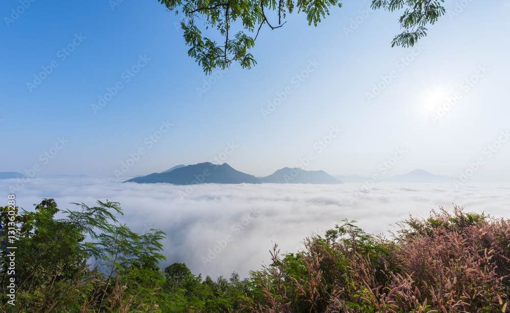 sea of fog over Phu Thok Mountain
