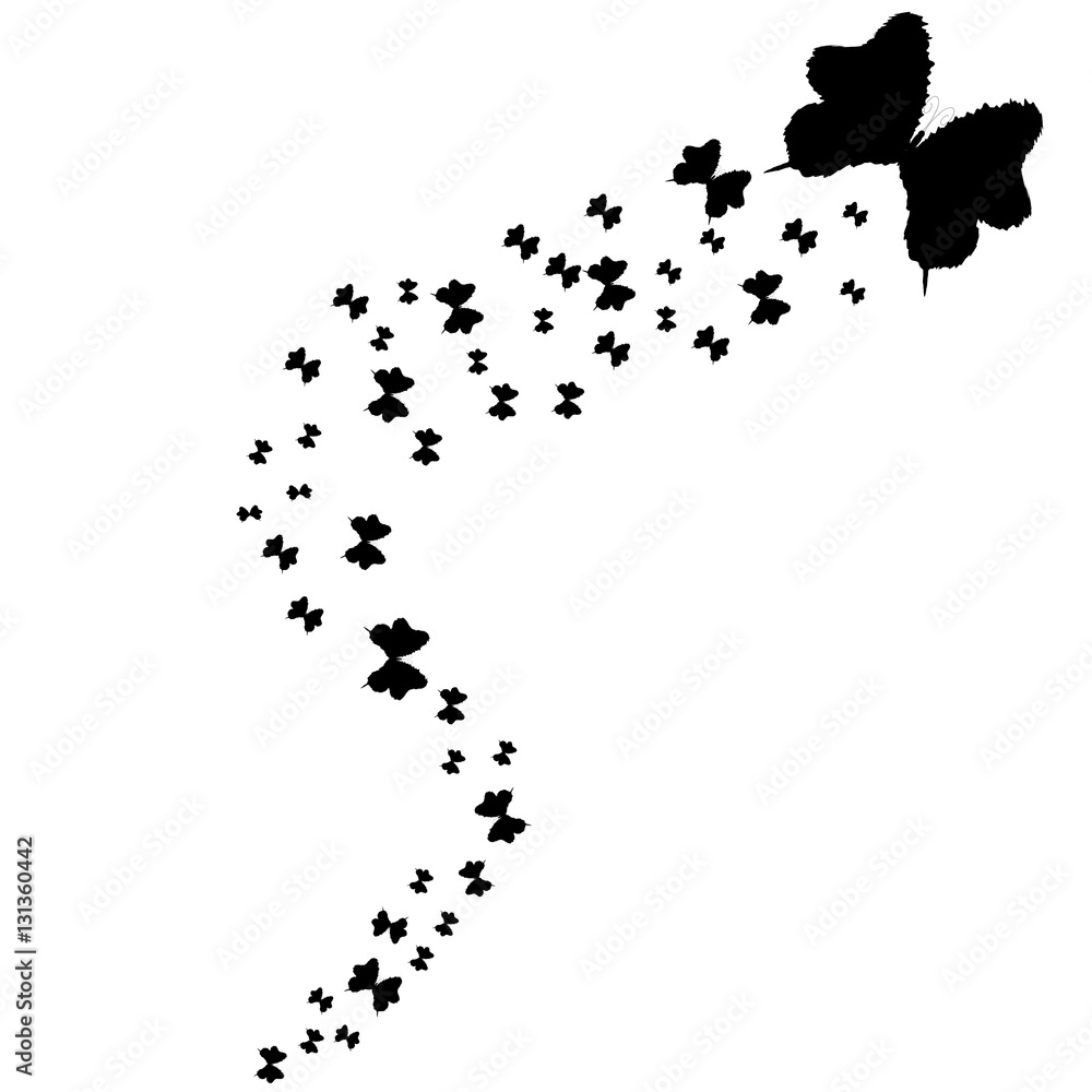 beautiful butterflies, isolated on a white beautiful butterflies, isolated on a white