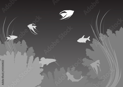 underwater grey landscape with fishes